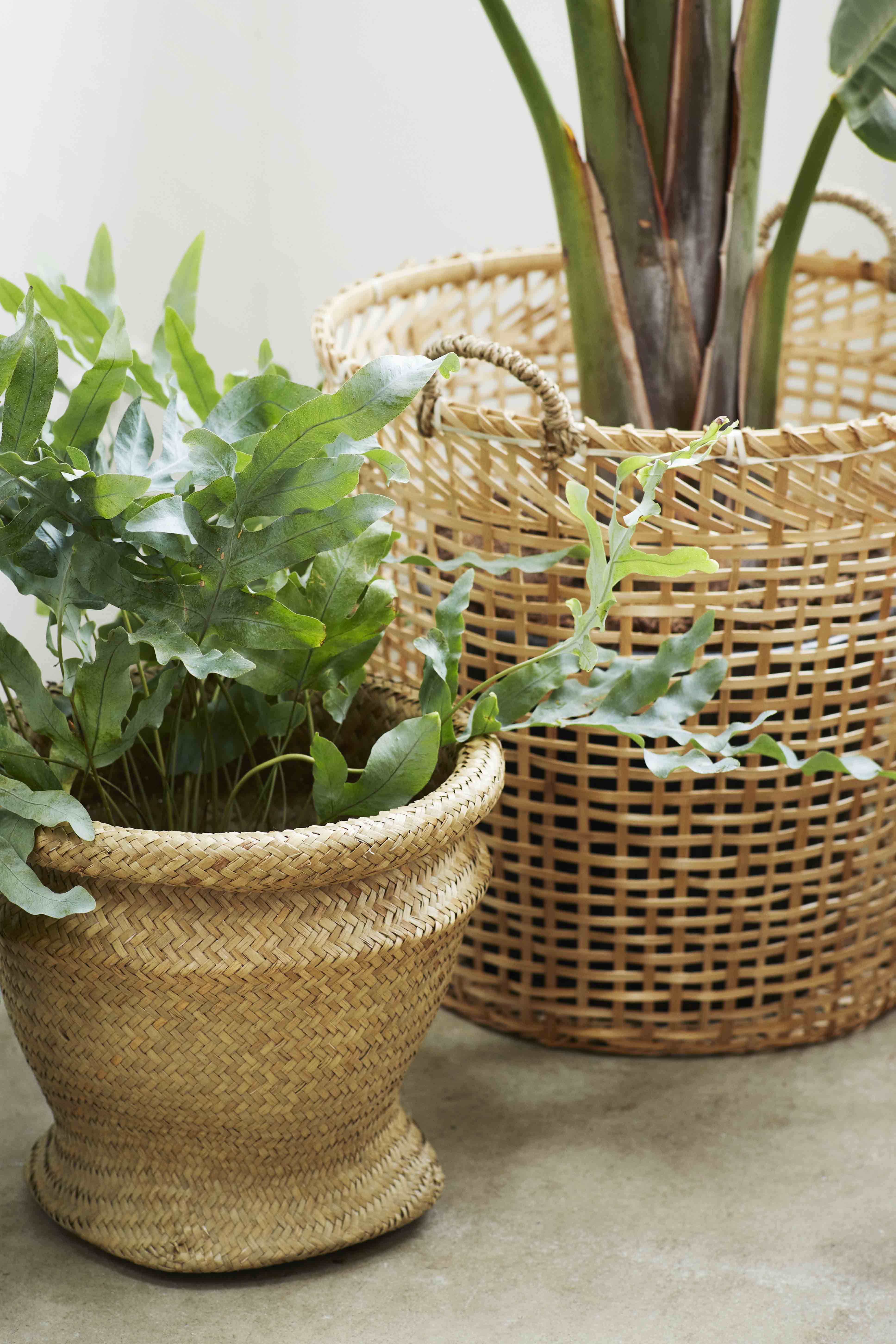 Basket round bamboo "L", 46x41cm