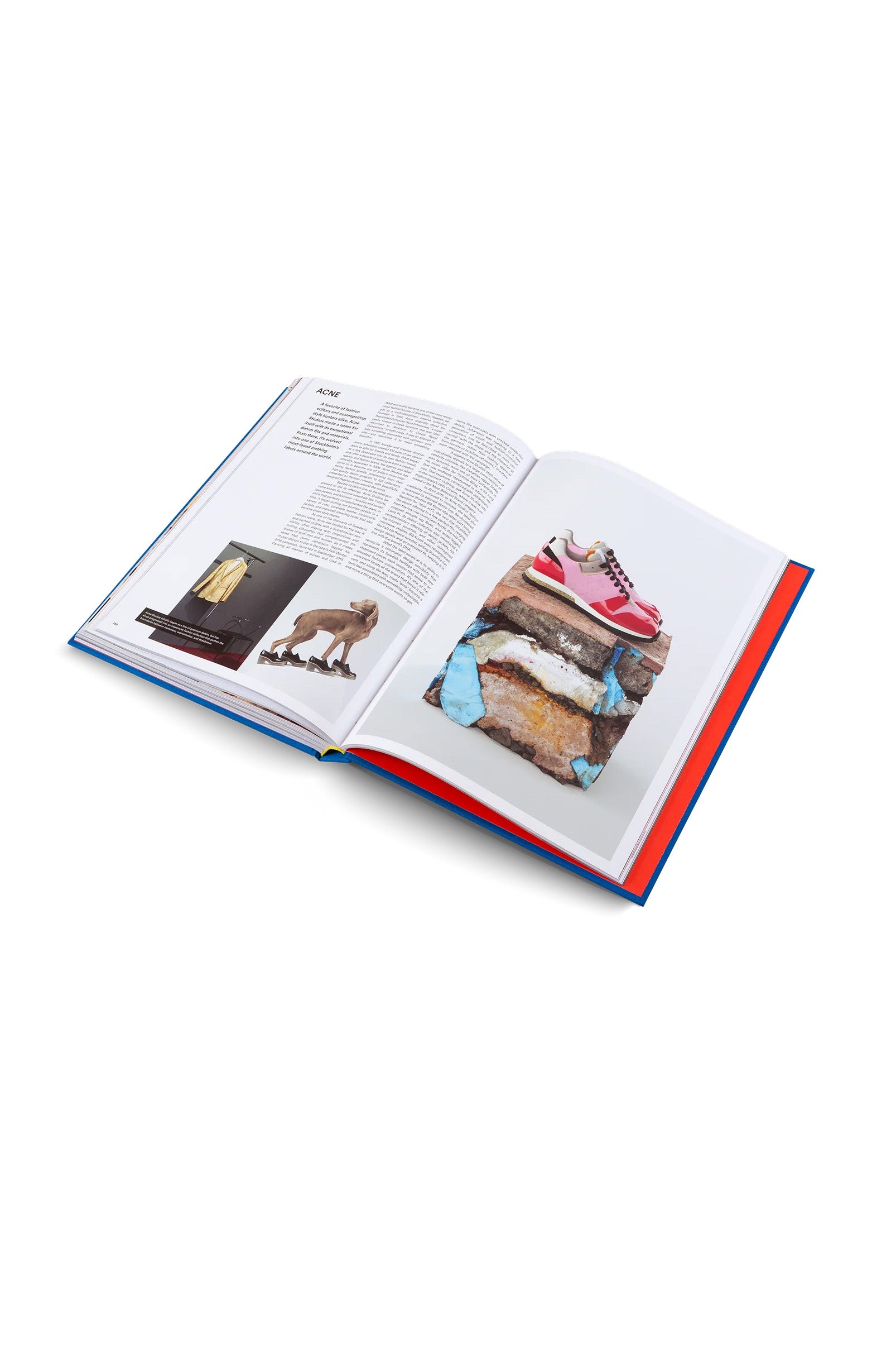 Book "The Incomplete" | Updated Edition |