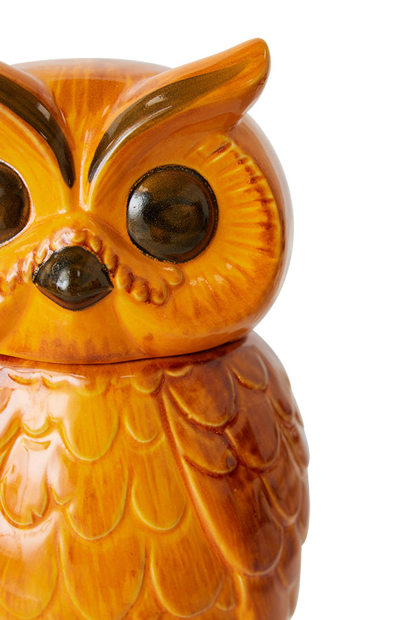 Ceramic owl jar