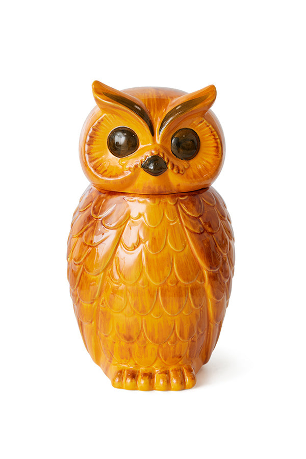 Ceramic owl jar