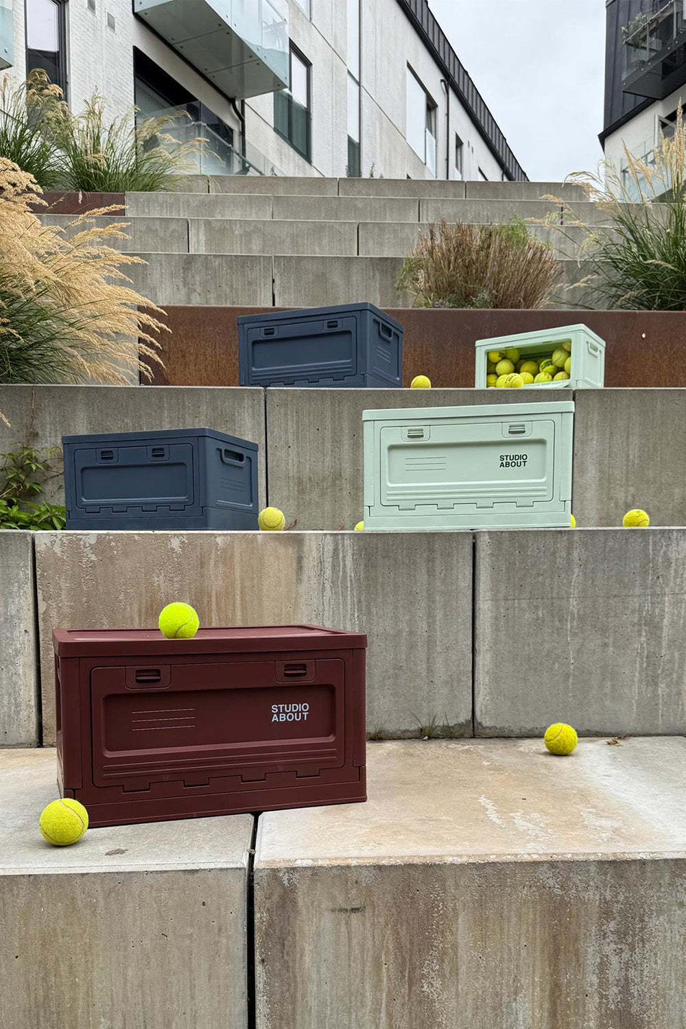 Box "L" | Bordeaux