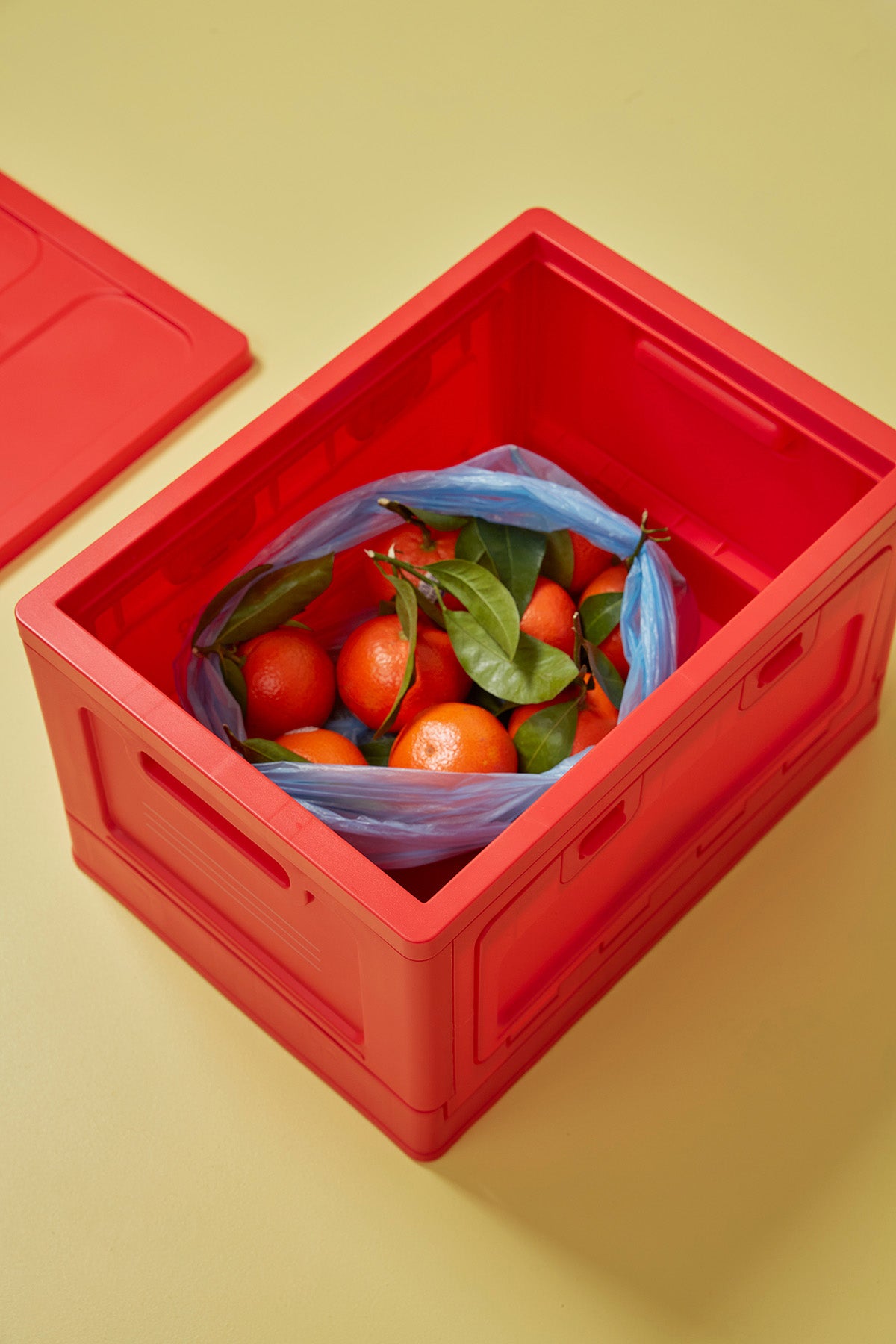 Box "L" | Red