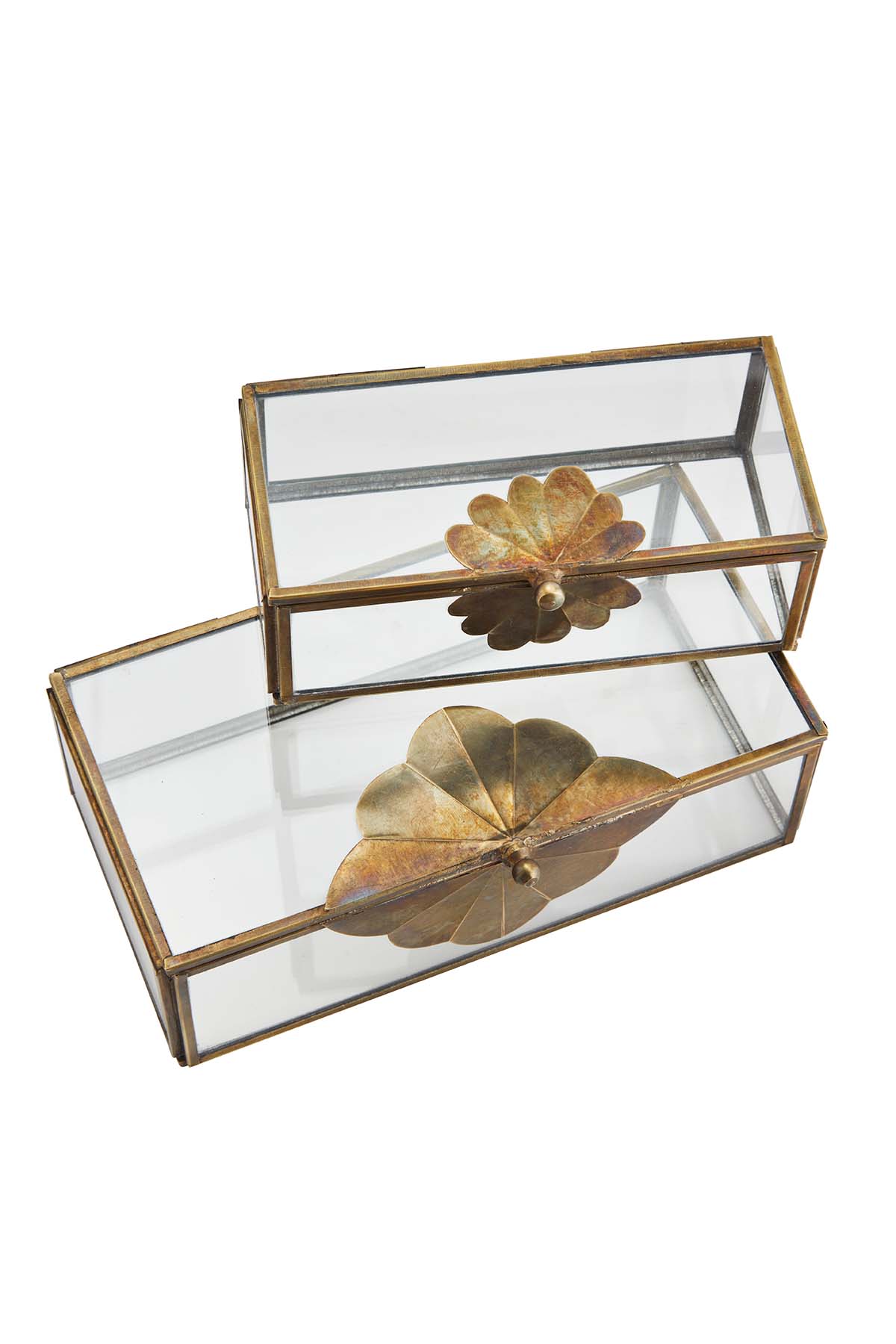 Glass Box w/ Brass Leaf