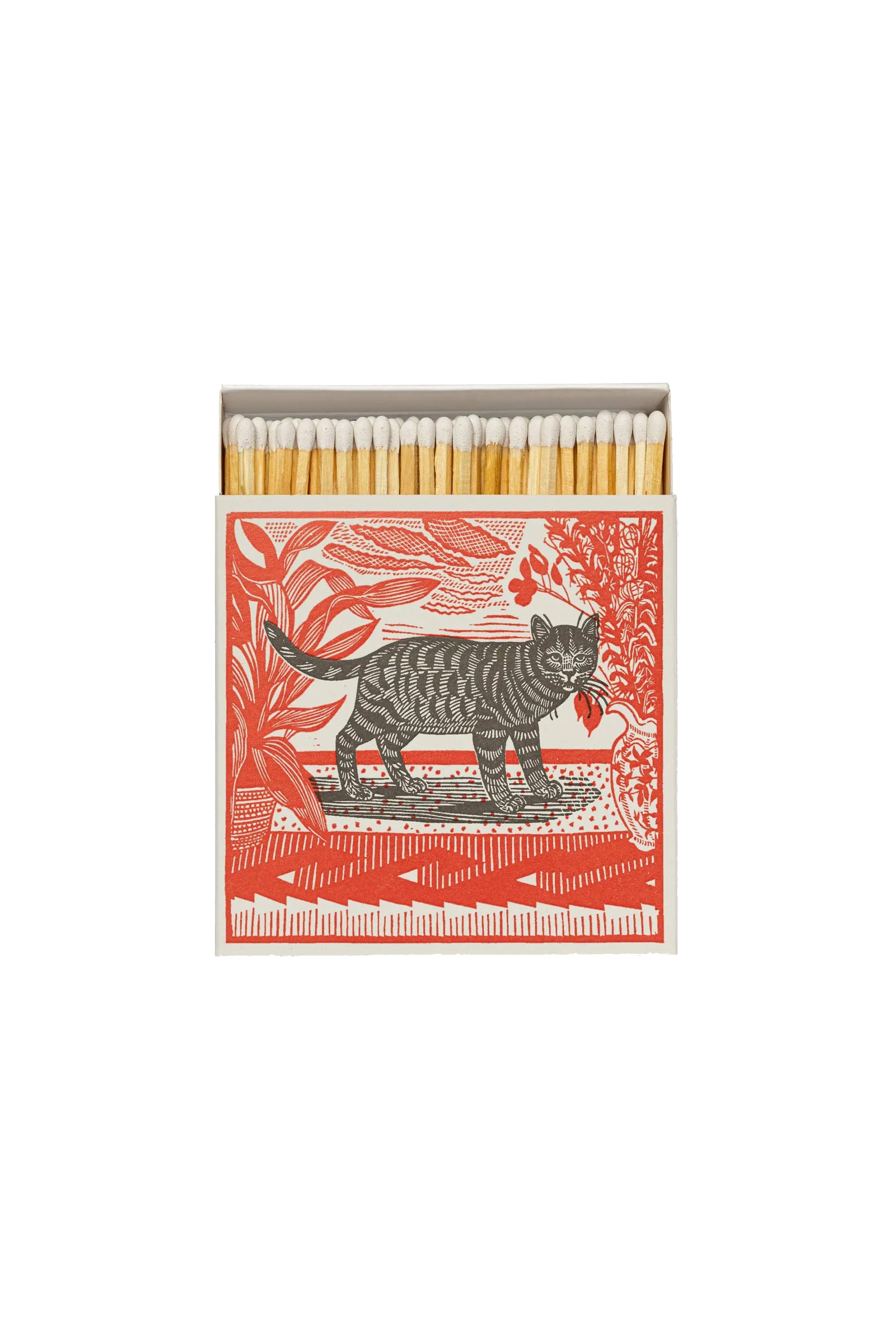 Matches Box | Sasha the Cat