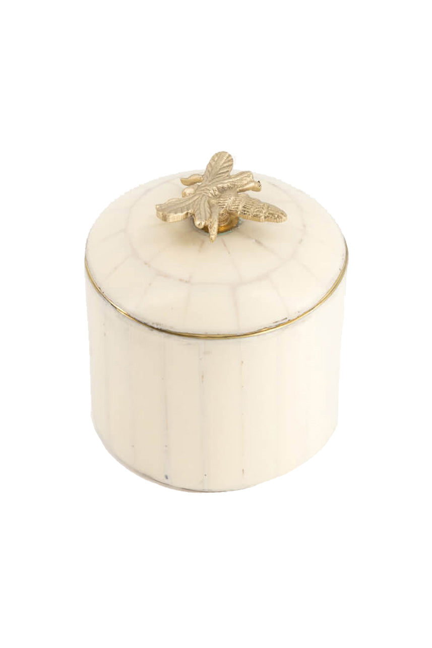 Queen Bee Circus Box