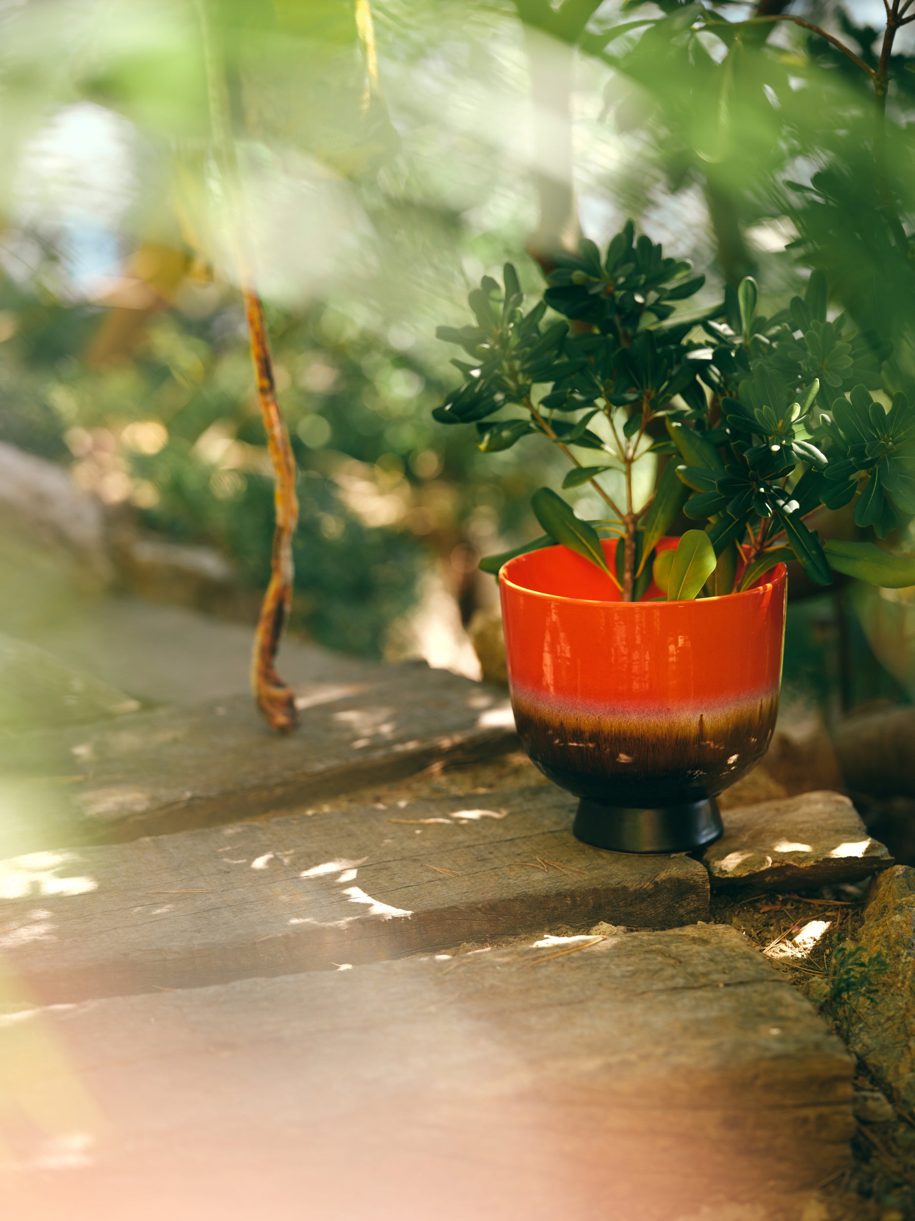 Retro flower pot | Cherry Red