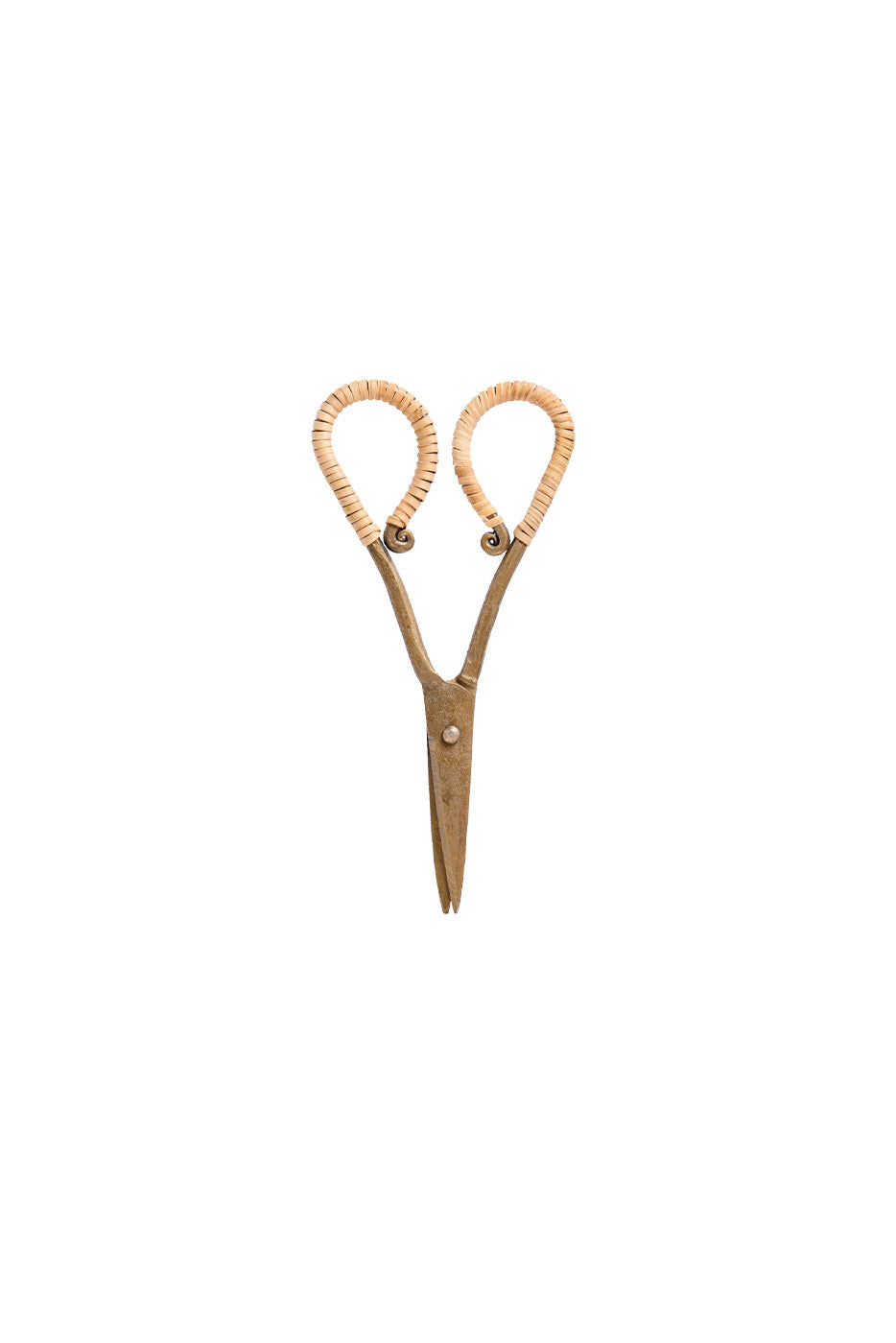 Metal Scissors I Rattan