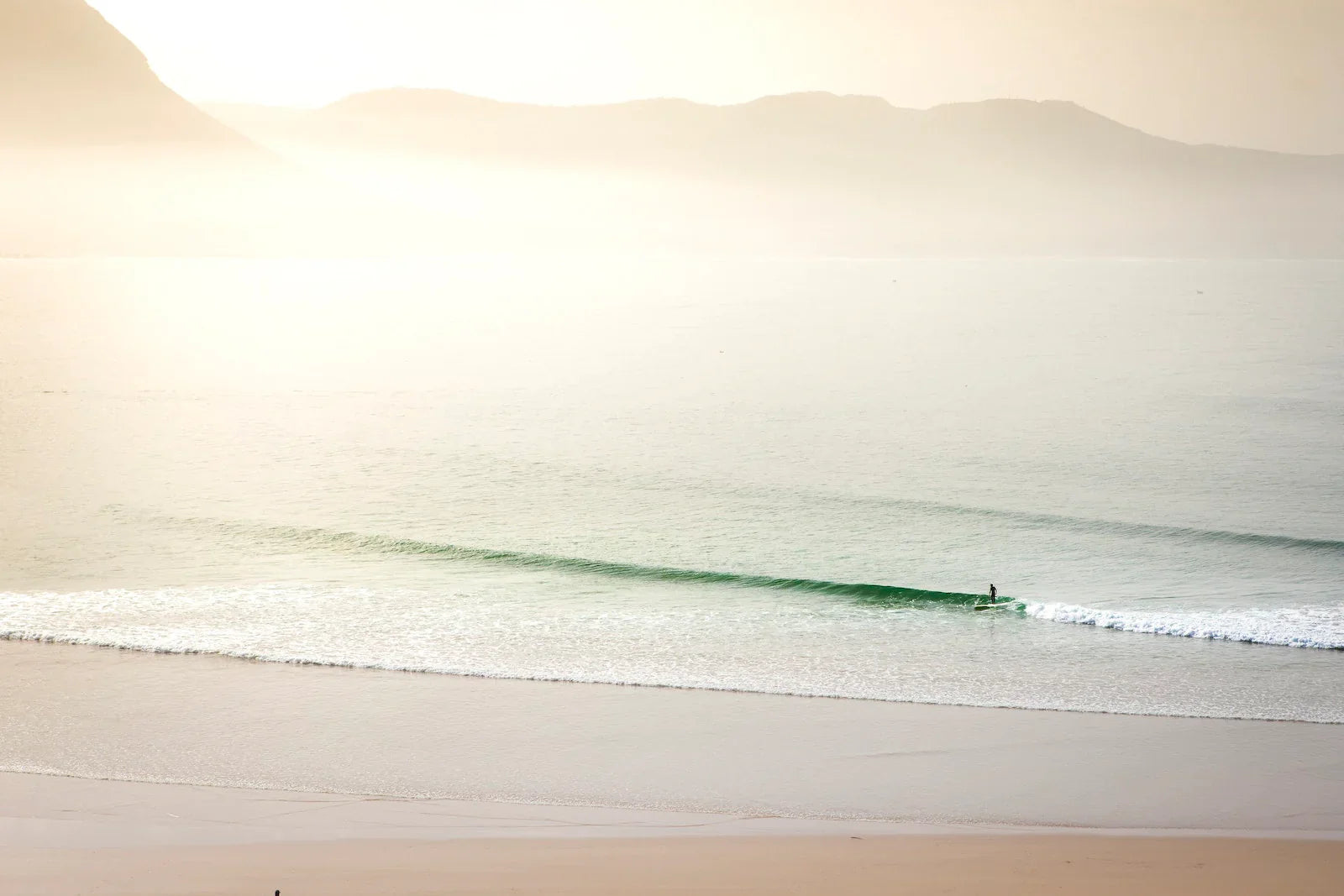 Book "Surf porn"