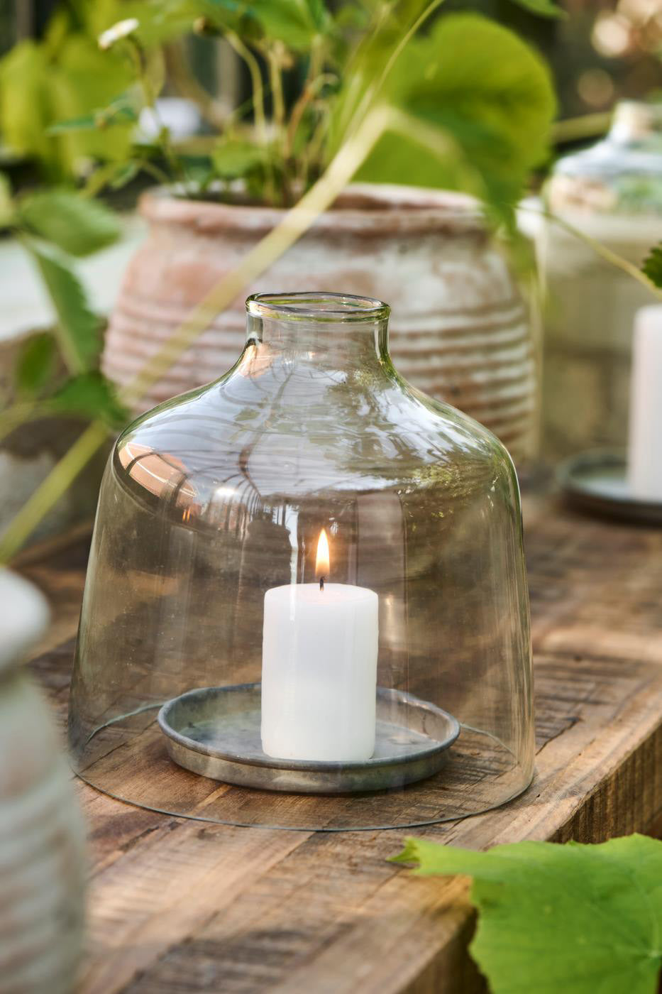 Glass Bell Jar