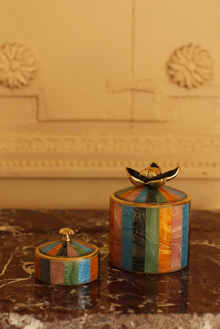 Multicolor Circus Box Medium