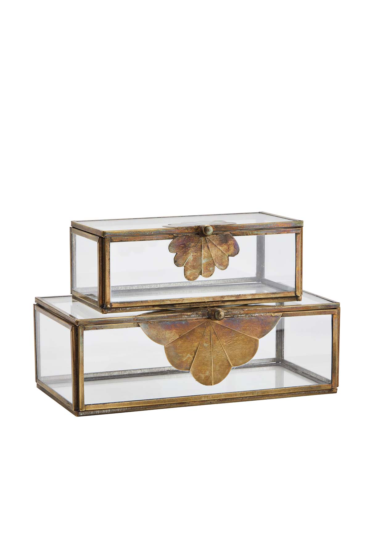Glass Box w/ Brass Leaf