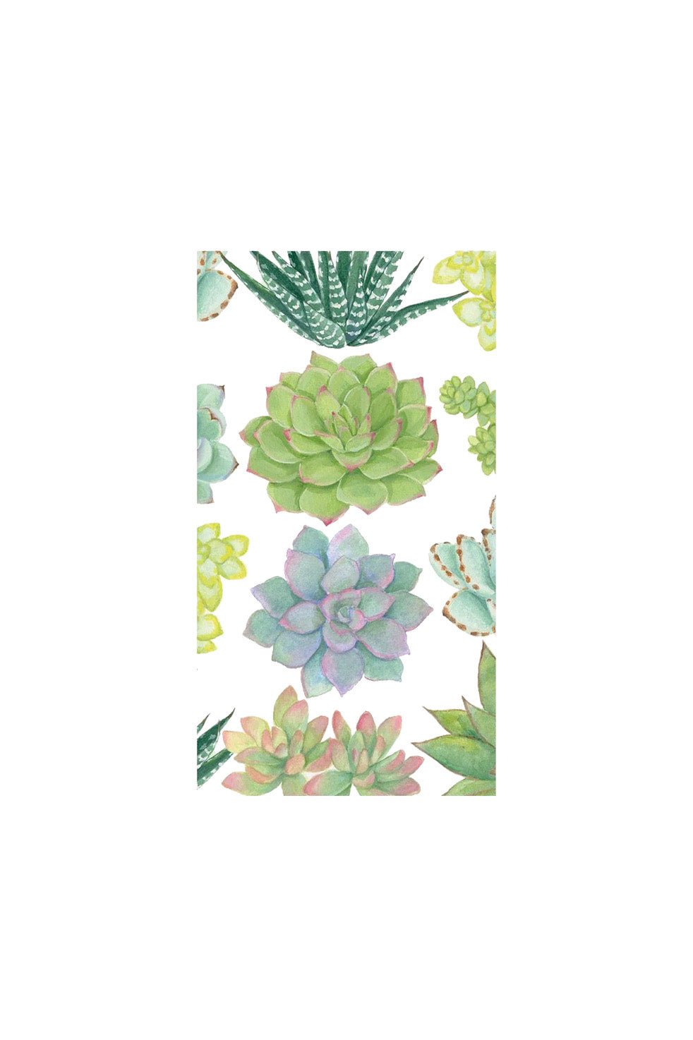 Paper Napkins | Succulents