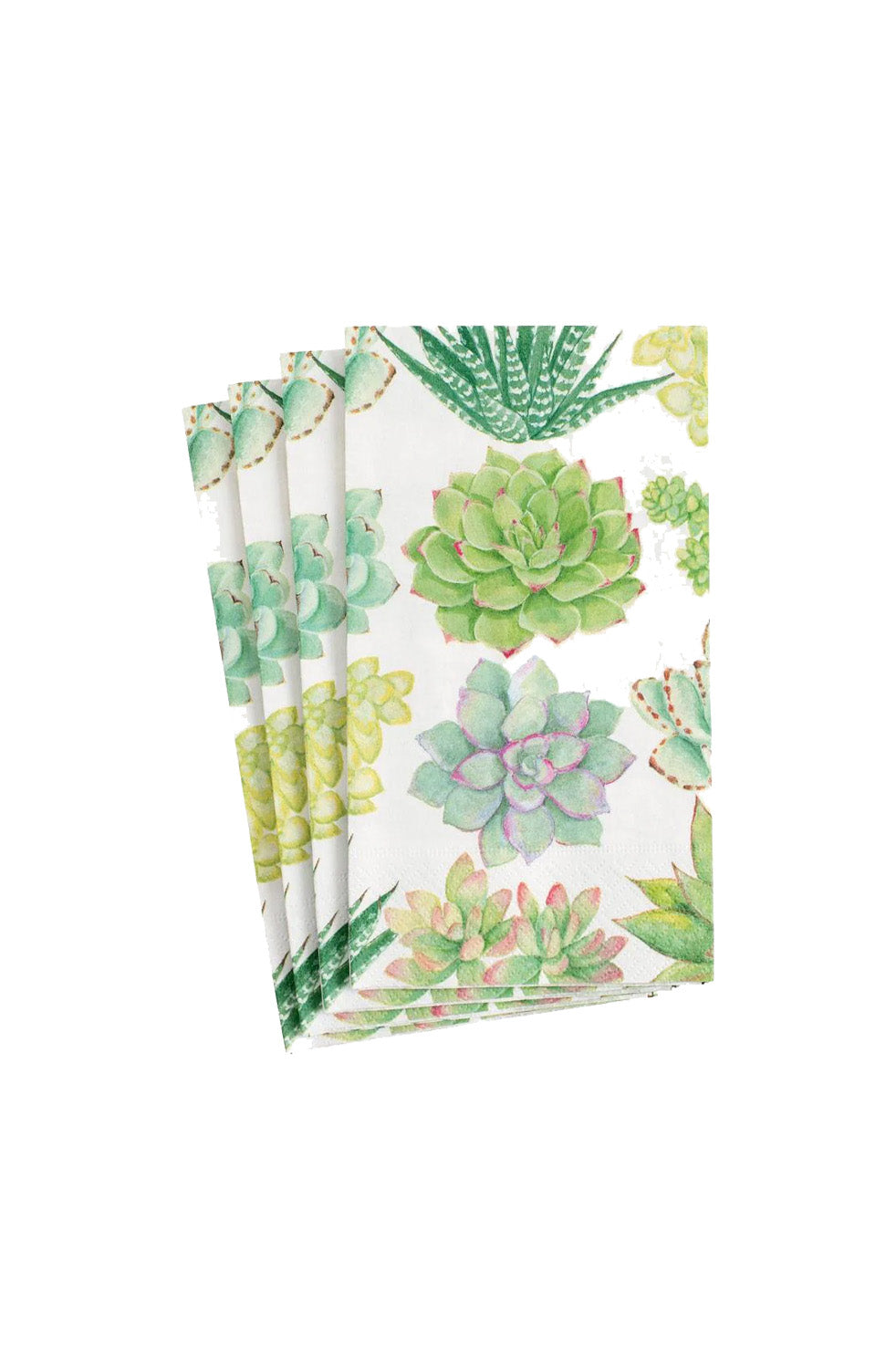 Paper Napkins | Succulents