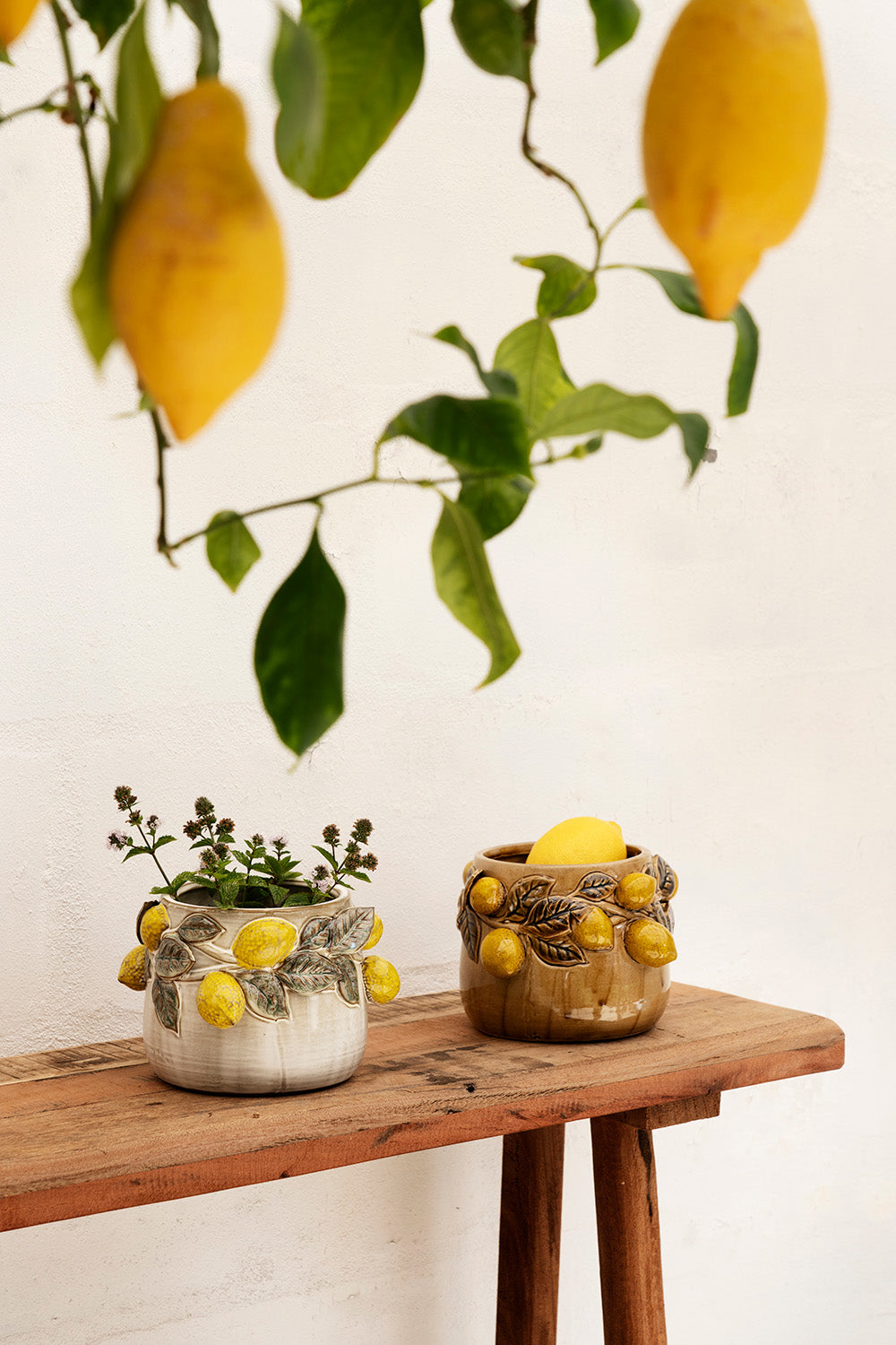 Flower Pot | Lemons