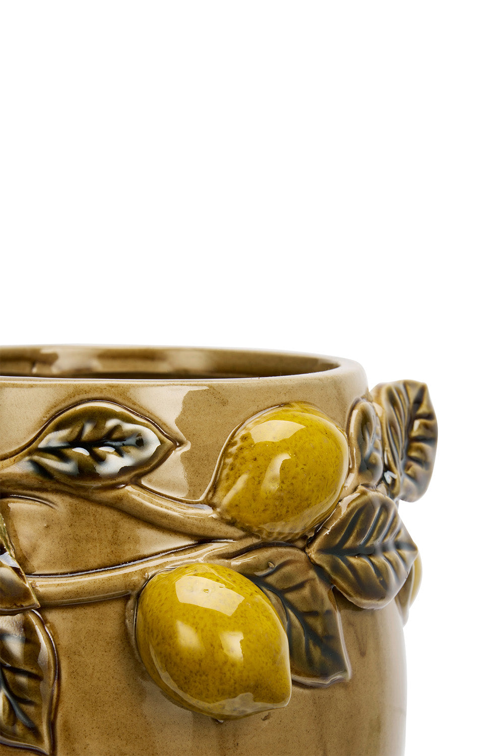 Flower Pot | Lemons